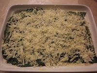 Lasagna4 Lasagna4