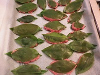 Secondo Secondo