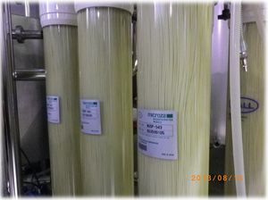 Contesa Spaghetto giapponese Contesa Spaghetto giapponese