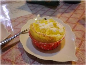 Budino5