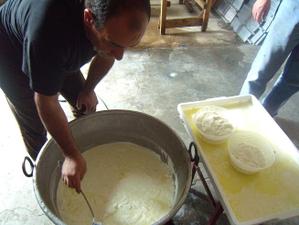 Pecorino_sardo_ricotta_sito4