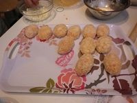 Suppli1