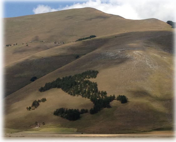 Castelluccio