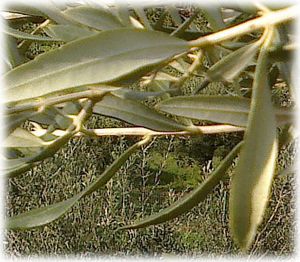 Blog4 Blog4