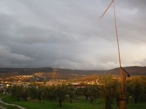 Blog11 Blog11