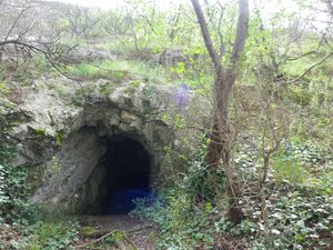 Blog10 Blog10